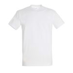 Absolute White